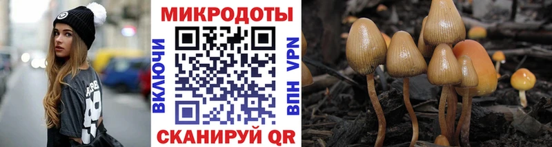 Галлюциногенные грибы ЛСД  Купить закладки  Петропавловск-Камчатский 